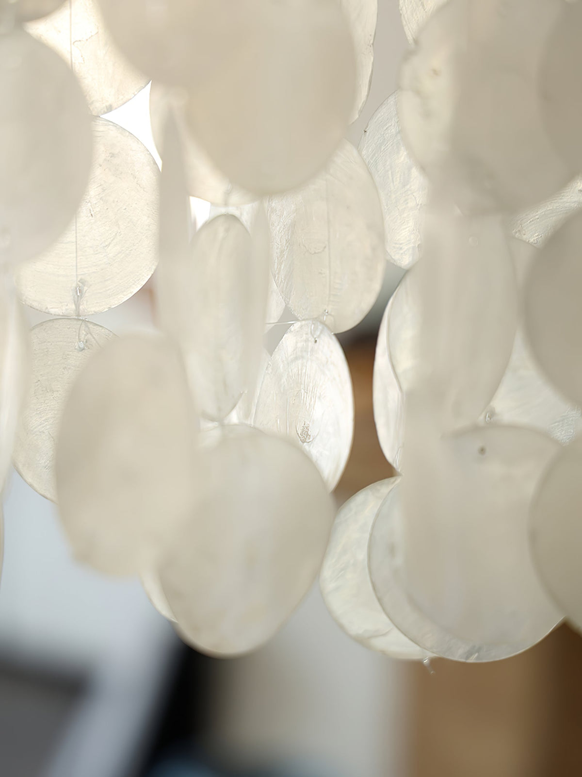 Modern Nerida Shell Chandelier